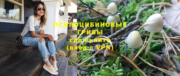 spice Алексин